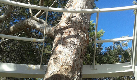 Detalle para salvar árbol dentro de la estructura